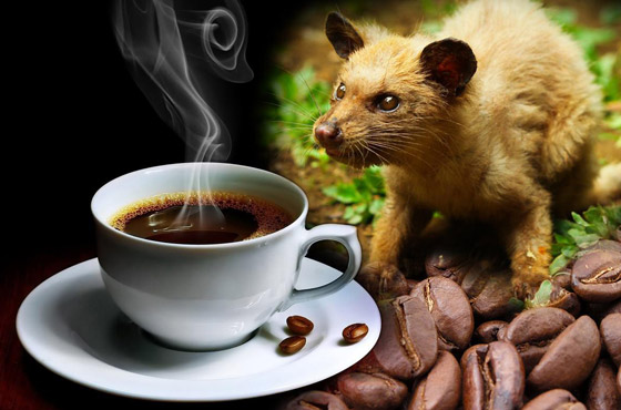  ���� ��� 7 - ������: ����� ����� ������� ������ ���� ��� ���� �����