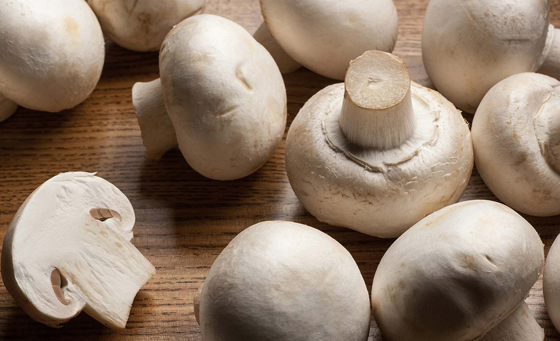  ���� ��� 1 - �� ���� �� ������� ���������� ��� ��� ����߿8 ����� ����� �� �����