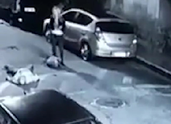 نهاية مأساوية للص حاول السطو على شرطية حسناء في الظلام! فيديو صورة رقم 5 نهاية مأساوية للص حاول السطو على شرطية حسناء في الظلام! فيديو صورة رقم 5