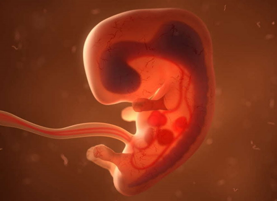 ظاهرة غريبة نادرة الحدوث: امرأة كولومبية تنجب طفلة حامل (بالصور) صورة رقم 6
