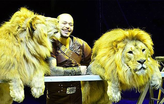 فيديو وصور صادمة: أسد فى سيرك بأوكرانيا يهاجم مدربه المصري! صورة رقم 12