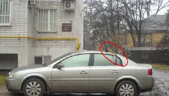بالصور: أغرب حالات الانتقام من الأزواج الخائنين صورة رقم 11