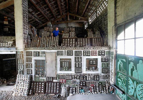  ���� ��� 14 - ������: ������ ��� ���� ������ ��� �������