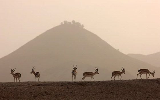 تعرفوا على أحر الأماكن على سطح الأرض.. صور صورة رقم 9