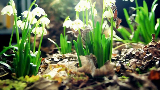 10 حقائق مدهشة وسخيفة وغير عادية ولكنها صحيحة تماما صورة رقم 3