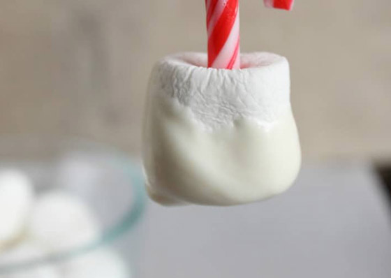 ما علاقة (المارشميلو) بالفضاء؟ إليكم حقائق مدهشة عن هذه الحلوى اللذيذة صورة رقم 7 ما علاقة (المارشميلو) بالفضاء؟ إليكم حقائق مدهشة عن هذه الحلوى اللذيذة صورة رقم 7