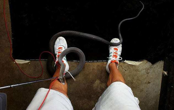 صور كادت تقتل مصوريها الذين خاطروا بحياتهم لالتقاط اللقطة المثالية صورة رقم 3 صور كادت تقتل مصوريها الذين خاطروا بحياتهم لالتقاط اللقطة المثالية صورة رقم 3