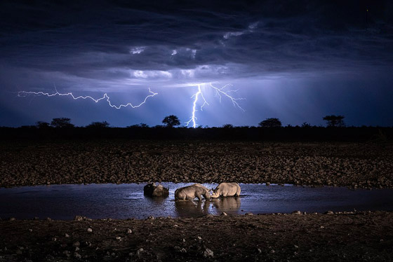 أفضل الصور المدهشة المشاركة في مسابقة التصوير الفوتوغرافي للسفر صورة رقم 1