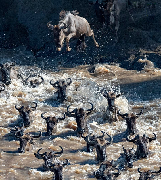 أفضل الصور المدهشة المشاركة في مسابقة التصوير الفوتوغرافي للسفر صورة رقم 6