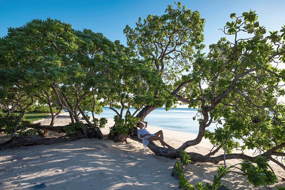 100 ألف دولار لليلة.. تعرفوا على أغلى وأفخم منتجع سياحي في العالم صورة رقم 13