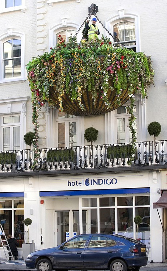 تعرفوا على أغرب الأشياء الموجودة في العالم.. صور صورة رقم 1