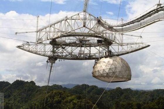 تعرفوا على أغرب الأشياء الموجودة في العالم.. صور صورة رقم 5