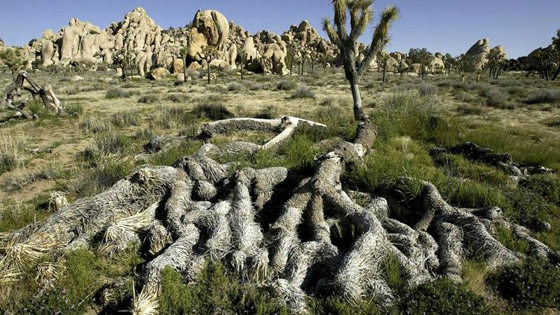بالصور: معالم سياحية هامة اندثرت خلال السنوات الأخيرة الماضية! صورة رقم 2