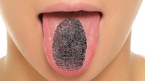 بصمات غريبة تحدد هويتك.. تعرف اليها صورة رقم 1