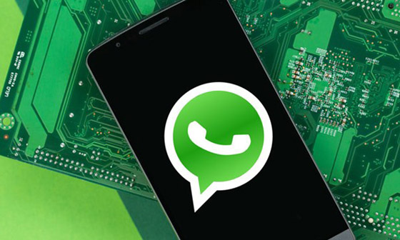 بالفيديو: نصف مليون مجموعة على واتساب معرضة للاختراق.. ما هو الحل؟ صورة رقم 5