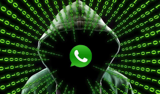 بالفيديو: نصف مليون مجموعة على واتساب معرضة للاختراق.. ما هو الحل؟ صورة رقم 6