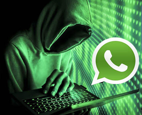 بالفيديو: نصف مليون مجموعة على واتساب معرضة للاختراق.. ما هو الحل؟ صورة رقم 9
