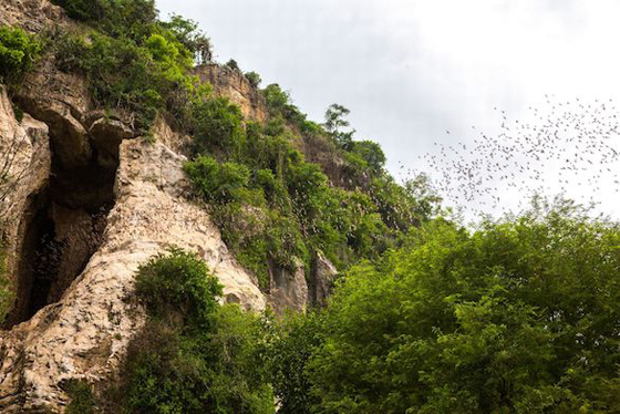 بالصور: تعرفوا على أجمل 10 كهوف حول العالم صورة رقم 8