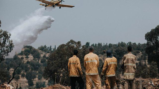 إسرائيل تستنجد بالدول لمساعدتها في إخماد الحرائق الضخمة! فيديو وصور صورة رقم 6 إسرائيل تستنجد بالدول لمساعدتها في إخماد الحرائق الضخمة! فيديو وصور صورة رقم 6