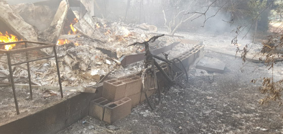 إسرائيل تستنجد بالدول لمساعدتها في إخماد الحرائق الضخمة! فيديو وصور صورة رقم 7 إسرائيل تستنجد بالدول لمساعدتها في إخماد الحرائق الضخمة! فيديو وصور صورة رقم 7