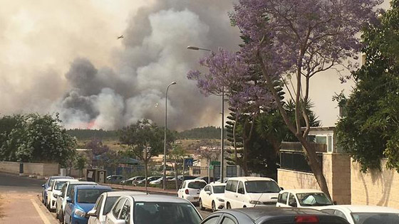 إسرائيل تستنجد بالدول لمساعدتها في إخماد الحرائق الضخمة! فيديو وصور صورة رقم 17 إسرائيل تستنجد بالدول لمساعدتها في إخماد الحرائق الضخمة! فيديو وصور صورة رقم 17