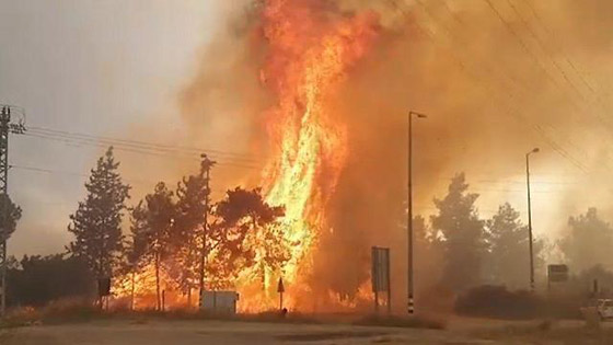 إسرائيل تستنجد بالدول لمساعدتها في إخماد الحرائق الضخمة! فيديو وصور صورة رقم 19 إسرائيل تستنجد بالدول لمساعدتها في إخماد الحرائق الضخمة! فيديو وصور صورة رقم 19