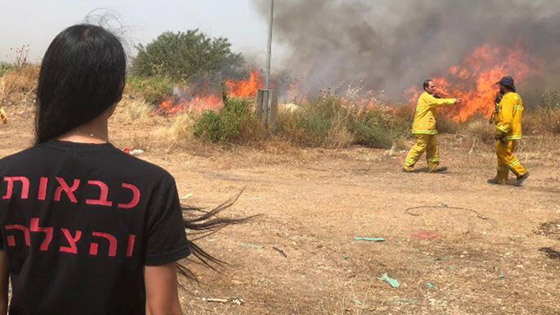 إسرائيل تستنجد بالدول لمساعدتها في إخماد الحرائق الضخمة! فيديو وصور صورة رقم 21 إسرائيل تستنجد بالدول لمساعدتها في إخماد الحرائق الضخمة! فيديو وصور صورة رقم 21