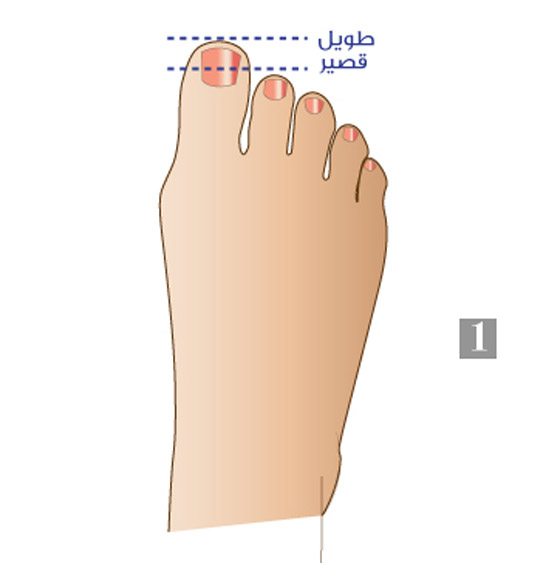 أصابع قدميك تكشف الكثير عن شخصيتك وصفاتك التي قد تثير دهشتك..! صورة رقم 1 أصابع قدميك تكشف الكثير عن شخصيتك وصفاتك التي قد تثير دهشتك..! صورة رقم 1