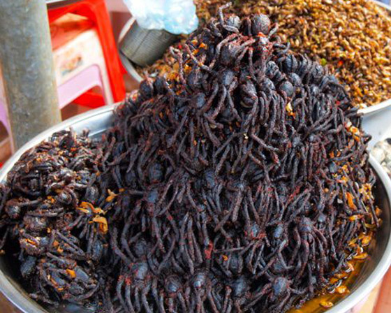 بالصور: إليكم 10 من أغرب أنواع الطعام والأطباق المقززة حول العالم صورة رقم 3 بالصور: إليكم 10 من أغرب أنواع الطعام والأطباق المقززة حول العالم صورة رقم 3