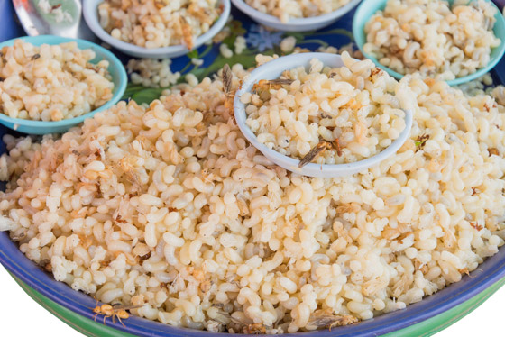 بالصور: إليكم 10 من أغرب أنواع الطعام والأطباق المقززة حول العالم صورة رقم 4 بالصور: إليكم 10 من أغرب أنواع الطعام والأطباق المقززة حول العالم صورة رقم 4