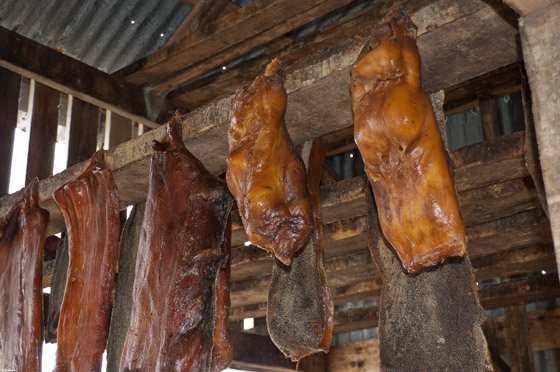 بالصور: إليكم 10 من أغرب أنواع الطعام والأطباق المقززة حول العالم صورة رقم 8 بالصور: إليكم 10 من أغرب أنواع الطعام والأطباق المقززة حول العالم صورة رقم 8