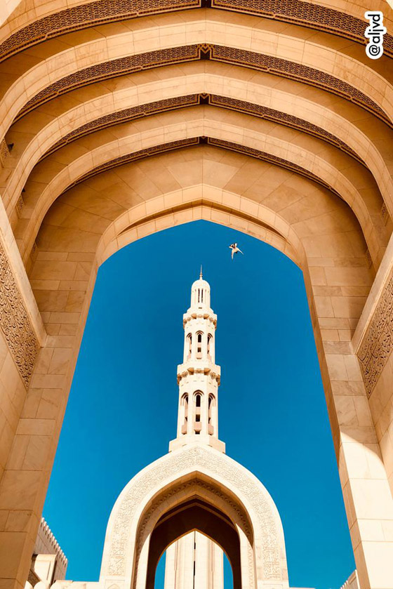 مصور يوثق مساجد خلابة ومليئة بالسكينة.. في عالم يسوده 