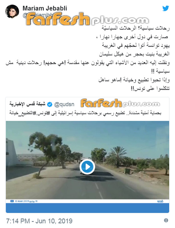 فيديو وصور دخول فوج من السياح الإسرائيليين إلى تونس يثير ضجة وجدلا! صورة رقم 7