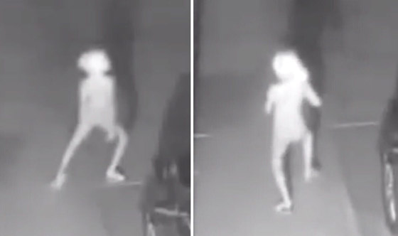 فيديو صادم: مخلوق غريب يتمشى في أحد شوارع أمريكا ويشعل الإنترنت! صورة رقم 1