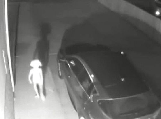 فيديو صادم: مخلوق غريب يتمشى في أحد شوارع أمريكا ويشعل الإنترنت! صورة رقم 2
