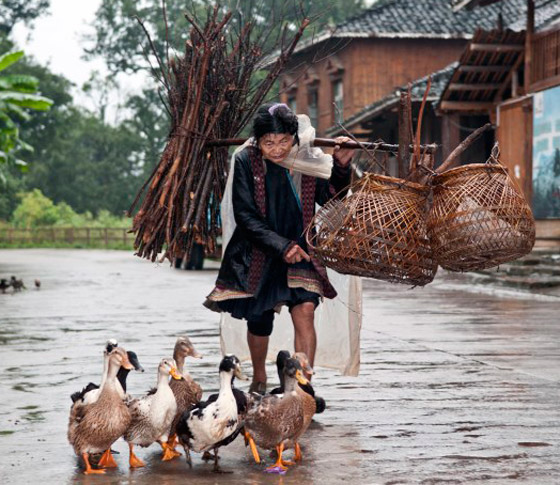 أغرب القوانين التي يتم تطبيقها في الصين.. لن تصدق! صورة رقم 8