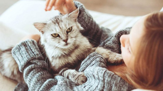 إليكم 10 أمراض معدية التي تنتقل من الحيوانات إلى البشر صورة رقم 5