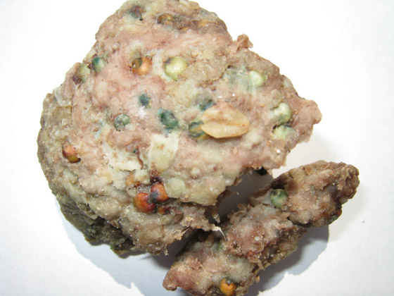 أشهر 10 سموم فتاكة عرفتها الإنسانية! صورة رقم 6