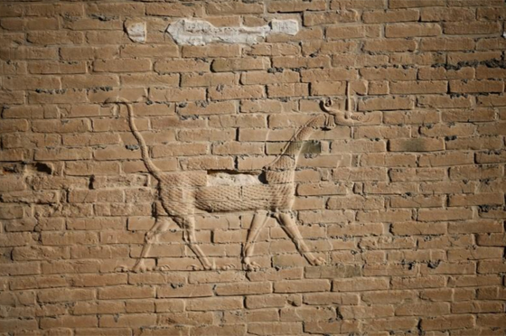 فرحة عارمة في العراق بعد تتويج مدينة بابل ايقونة التراث العالمي صورة رقم 38 فرحة عارمة في العراق بعد تتويج مدينة بابل ايقونة التراث العالمي صورة رقم 38