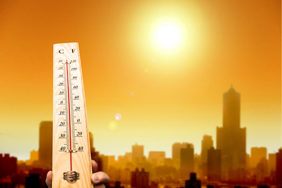 عام 2019 يسجل أكثر الشهور سخونة في العالم صورة رقم 5