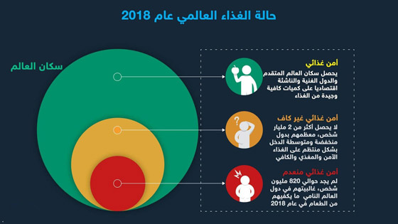 حقائق وأرقام أساسية حول عدد الجياع في العالم صورة رقم 4 حقائق وأرقام أساسية حول عدد الجياع في العالم صورة رقم 4