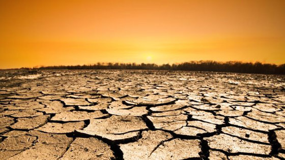 عام 2019 يسجل أكثر الشهور سخونة في العالم صورة رقم 8