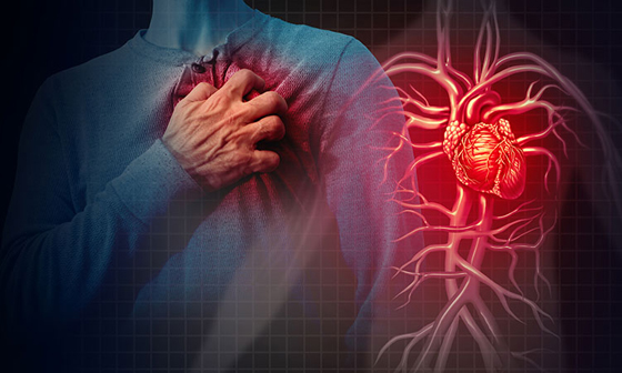 أبرزها ألم الذراع.. 8 أعراض وعلامات لأمراض ومشاكل في القلب صورة رقم 10