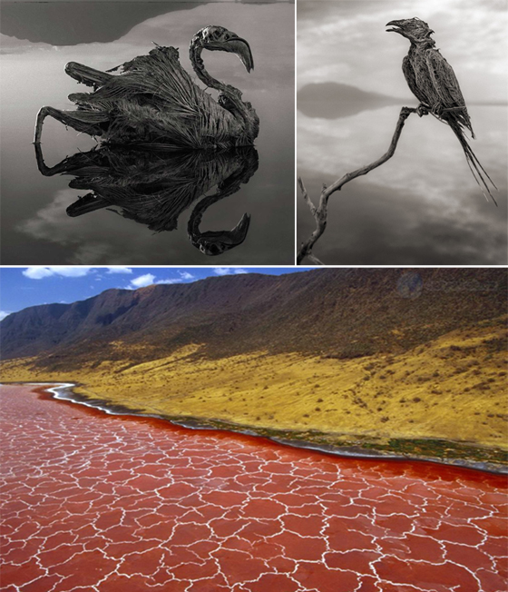 اكثر الاماكن غرابة في العالم.. صور صورة رقم 2