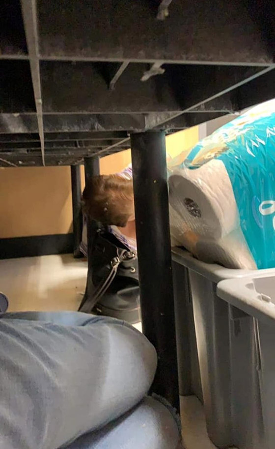 20 قتيلا و26 جريحا في حادث إطلاق نار عشوائي في تكساس الأمريكية صورة رقم 15 20 قتيلا و26 جريحا في حادث إطلاق نار عشوائي في تكساس الأمريكية صورة رقم 15