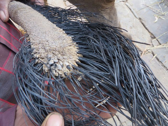 صور مدهشة ونادرة تكشف لنا الجانب غير المرئي من بعض الأشياء صورة رقم 22