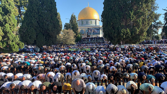 قوات الاحتلال تقتحم المسجد الأقصى وتهاجم المصلين بعد صلاة العيد صورة رقم 21 قوات الاحتلال تقتحم المسجد الأقصى وتهاجم المصلين بعد صلاة العيد صورة رقم 21