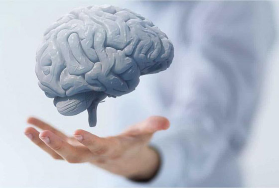 لا تستغنِ عنها.. 6 أطعمة تحمي عقلك من التلف صورة رقم 11