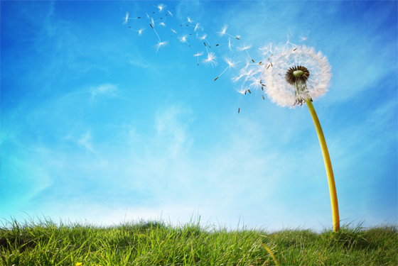 بلدان تتمتع بأنقى هواء في العالم صورة رقم 5