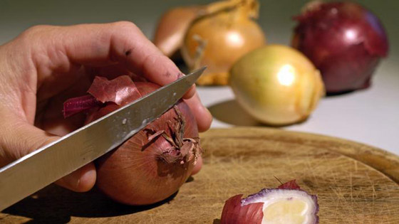 لكل دمعة أسرارها.. إليك حقائق لا تعرفها عن الدموع صورة رقم 4 لكل دمعة أسرارها.. إليك حقائق لا تعرفها عن الدموع صورة رقم 4